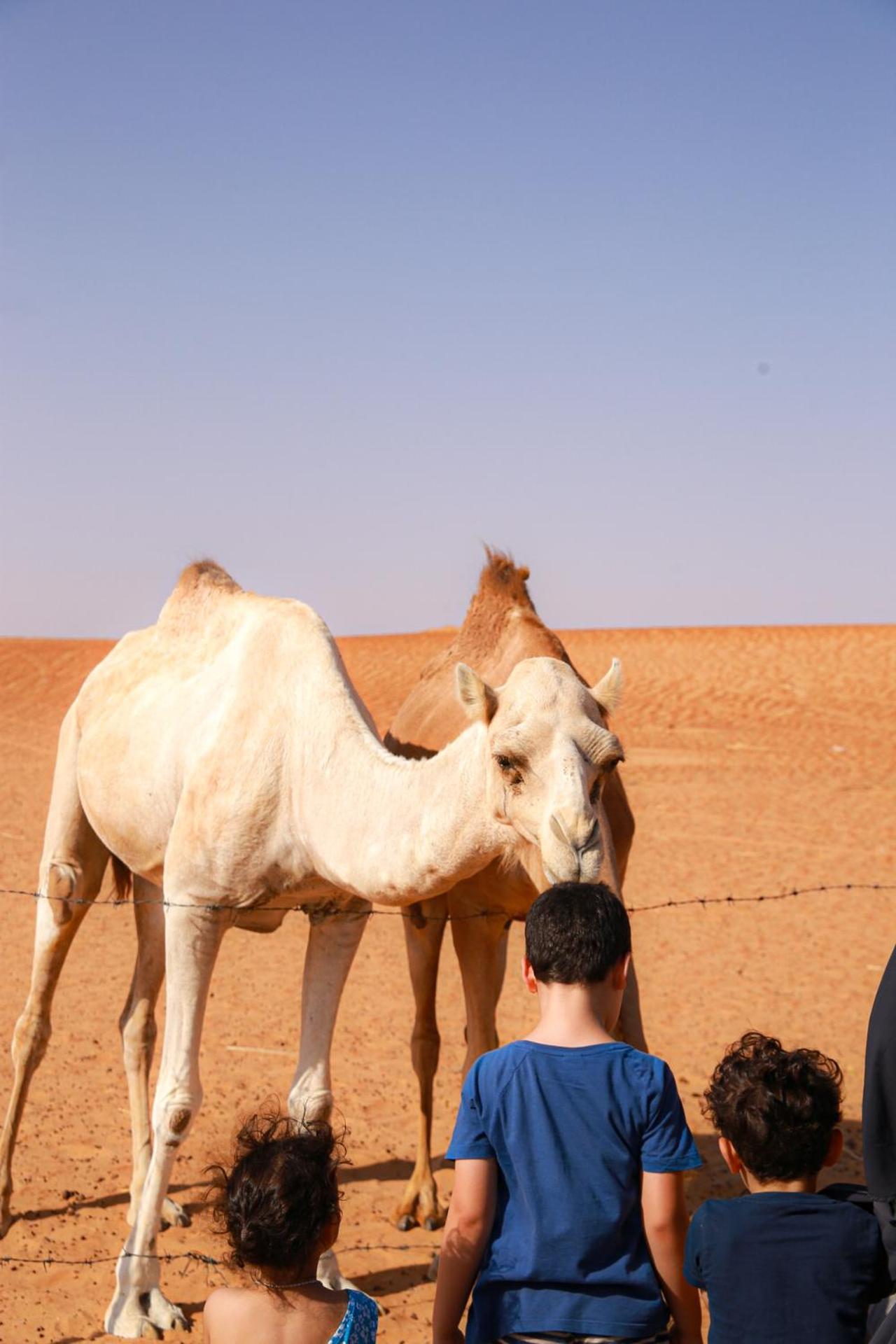 Отель Wahiba Bedouin Rustic Camp Bidiya Экстерьер фото